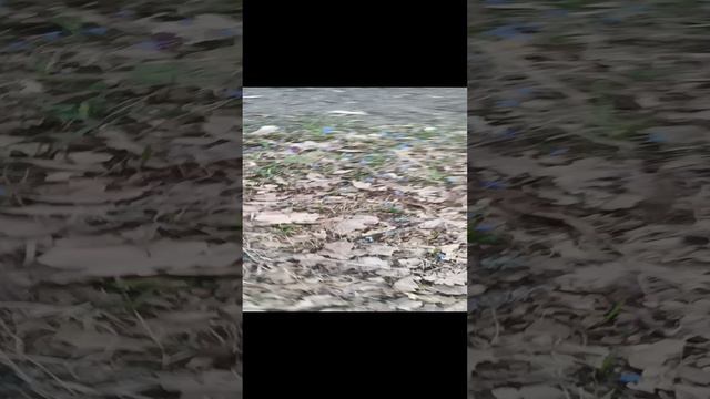 Заброшен 1 часть