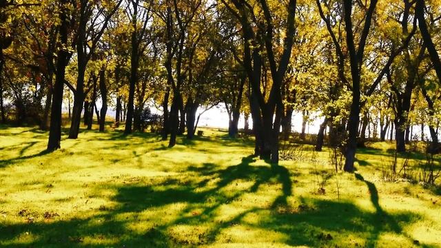 Лучшая музыка для разгрузки и успокоения