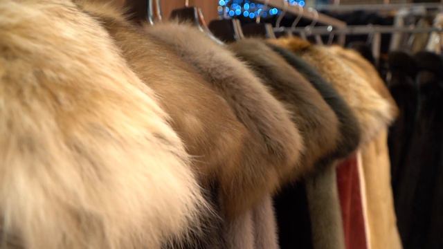 Меховая фабрика «Ангелина сэм» в Новом Уренгое