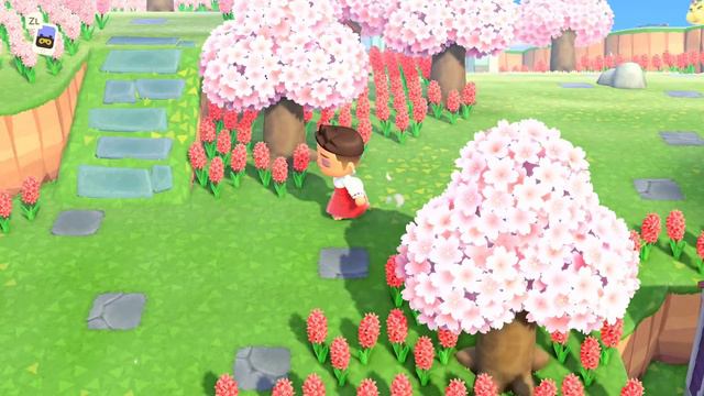 Most Beautiful Island in Animal Crossing? (100+ Hours) | Animal Crossing 5 Star Island Tour