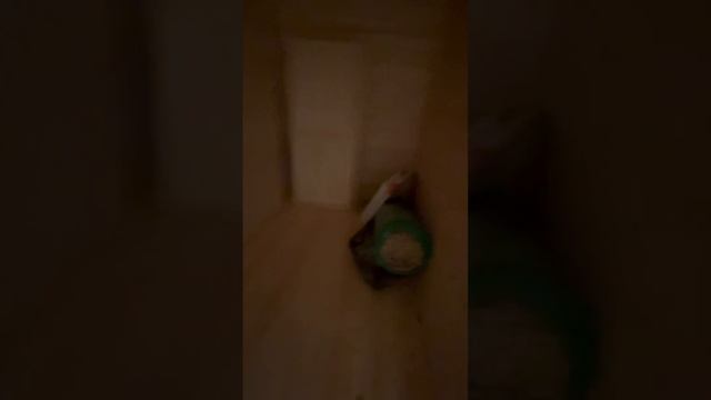 Стройка завершена! Стойка бани! Дом-баня, баня из бруса камерной сушки!!!