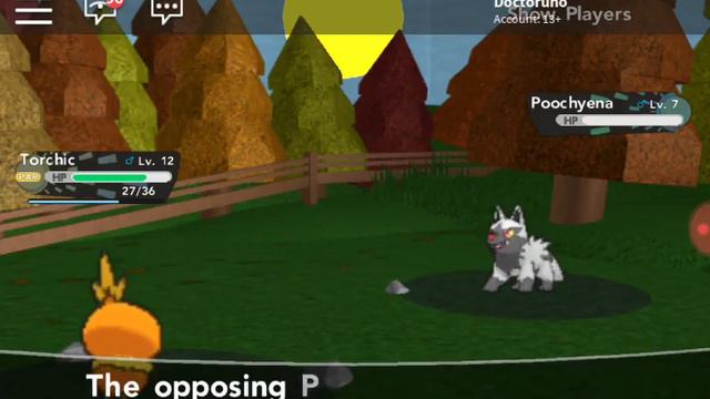 Новые земли