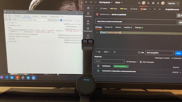 Home4Me: First Running Example Using Tizen 5.5