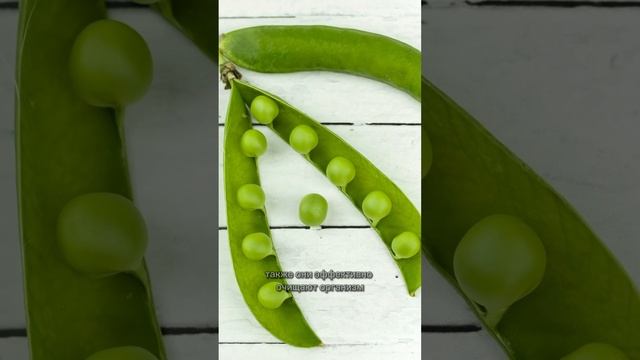 Бобовые фасоли чем полезны? #бобы #фасолевыйсуп #интересныефакты #рекомендации #полезные #вкусно