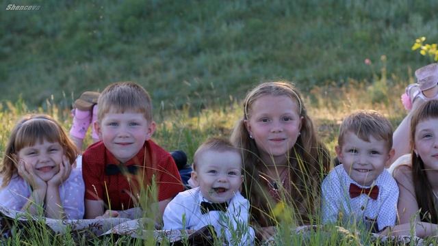 С днём семьи, любви и верности! Дарите любимым ромашки!