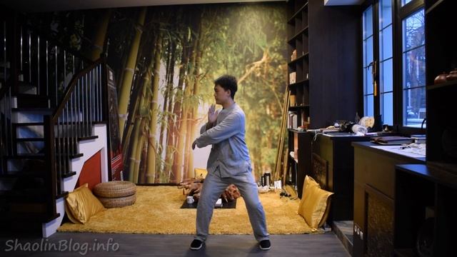 [Цигун] 8 кусков парчи - 2я часть