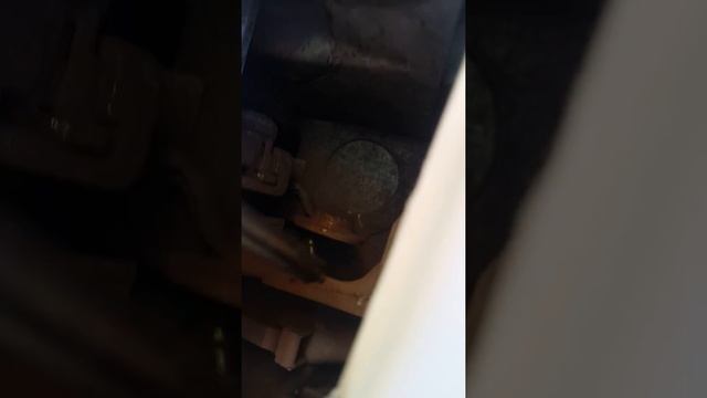 Домовая Метаморфоза