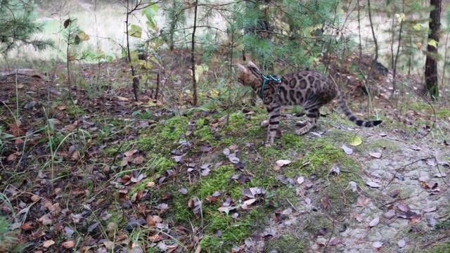 Меня зовут Амира  Давай дружить