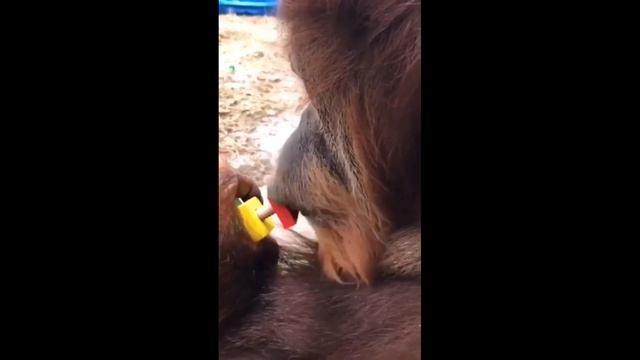 после этого видео вам надо будет скорая помощь 🤣🤣🤣