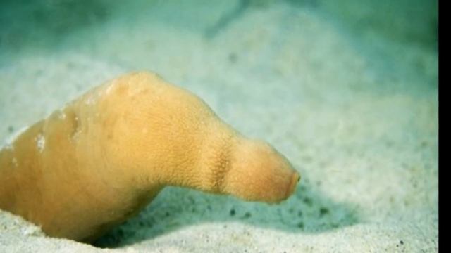 6b73edd936aa605b12d51a4a32df0e8f