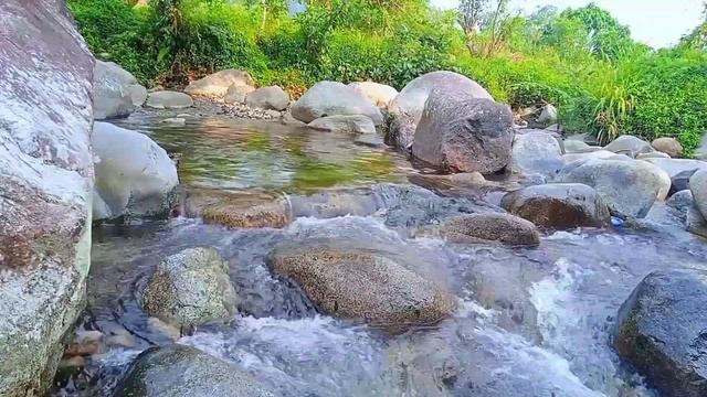 Nature Sounds And Bird Sounds For Stress Relief (Relaxation,Meditation,ASMR)