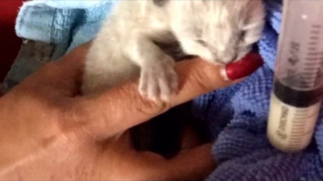 B1335515d0ad01024379794d8cbffd02