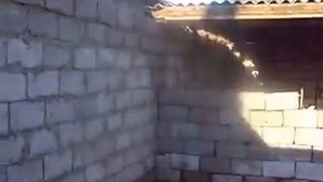 Гараж с кухней