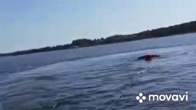 первые шаги на вейкборде.