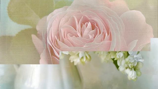 Чарующая нежность. Нежный отдых для Души и глаз!