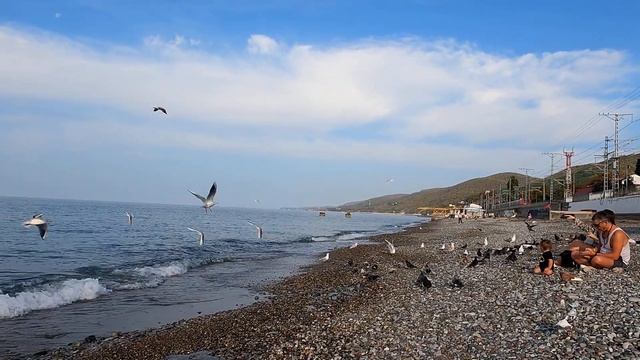 ЛАЗАРЕВСКОЕ СЕГОДНЯ ?СОЧИ. Пляж 