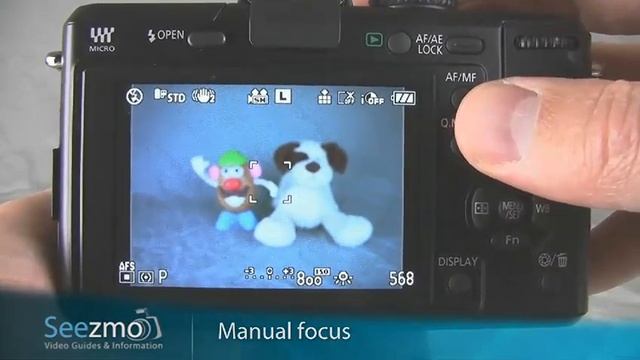 Panasonic GF1: Indoor/Party Guide