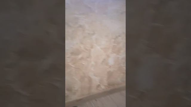 Af988fe716bc29aa87d3b142127ba83c