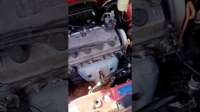 Жизнь в Стиле Идеального Райского Уголка