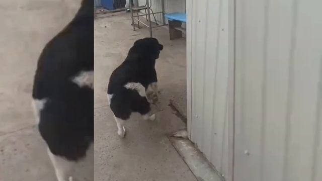 C1627ffd5daa487f3b103041494c07fc