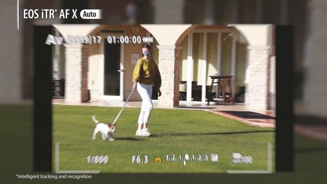 Introducing The EOS R50(Canon Official)