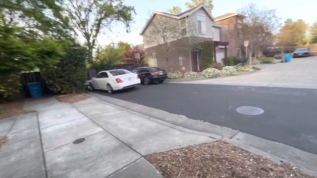 Глициния Or Wisteria Or Фуджи. #ленахэппи #lenahappy #wisteria #глициния #GerekC