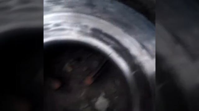 Газ 66 сцепление
