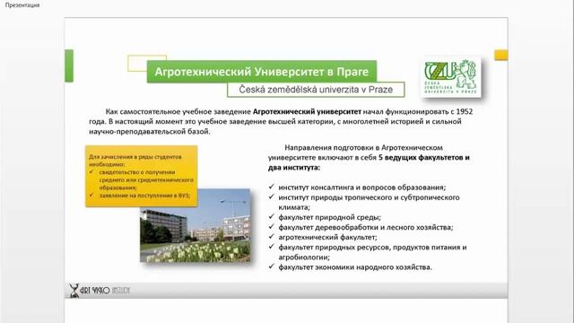 Обучение в Чехии. Вебинар 