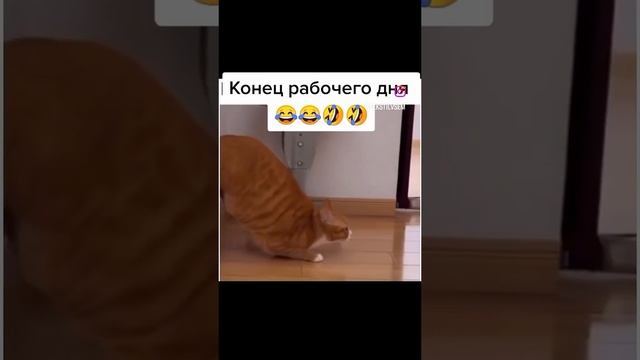 Конец рабочего дня