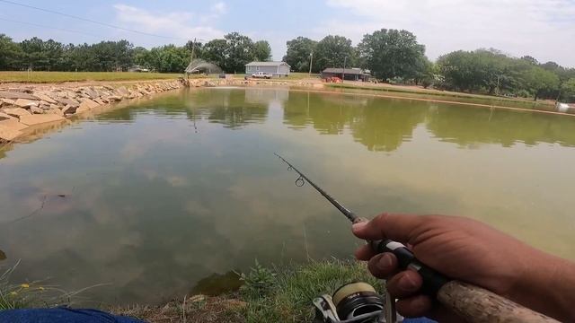 Monster Bluegill (Gulp Alive Cricket)