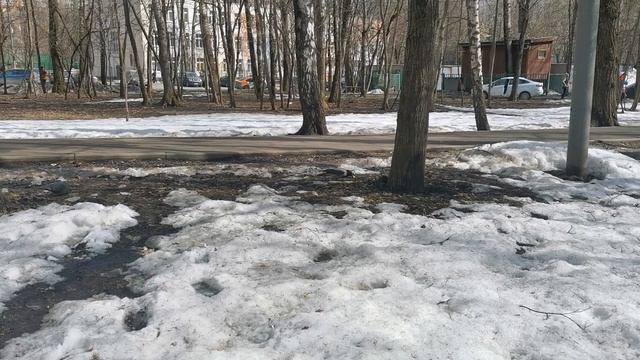 Кормление вороны