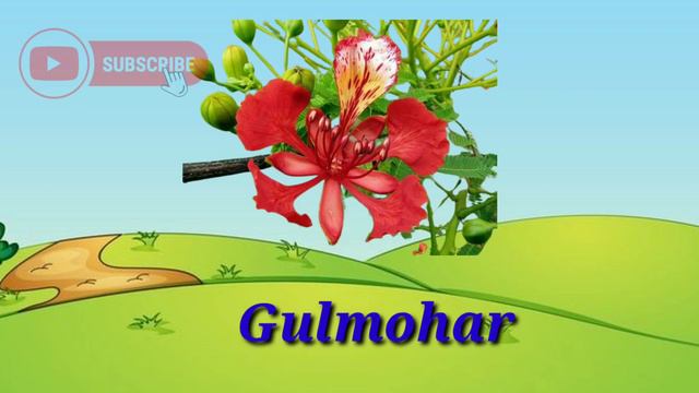 Flowers Name/flowers Vocabulary/flowers Name In English With Pictures/educational Vedio For Kids/