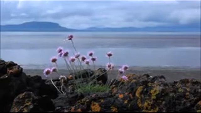 Евангелие от Матфея Глава 7