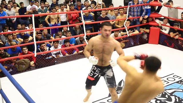 7.02.16 Проф Боевое Самбо  «КУБОК МОСКВЫ» Новички