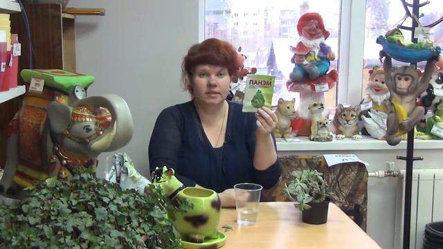 2020 12 24 ВО САДУ И В ОГОРОДЕ