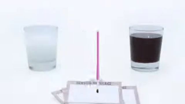 4M Чудеса на кухне в Zhirafa Tut Ru