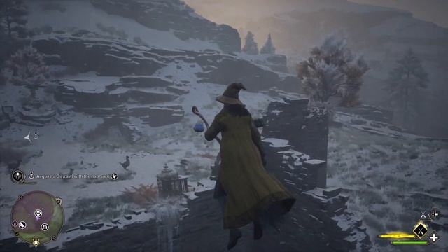 Hogwarts Legacy Diricawl Location Guide  - Professor Howin's Assignment Quest Guide