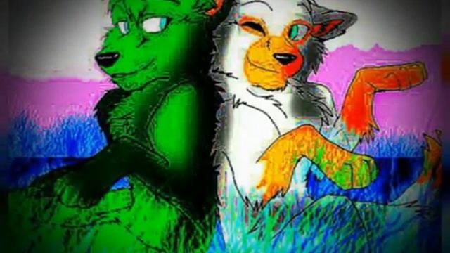 Свет, камера, мотор!