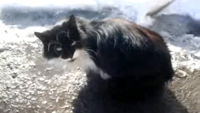 Cebd29397867876015fd423f0040f8b4