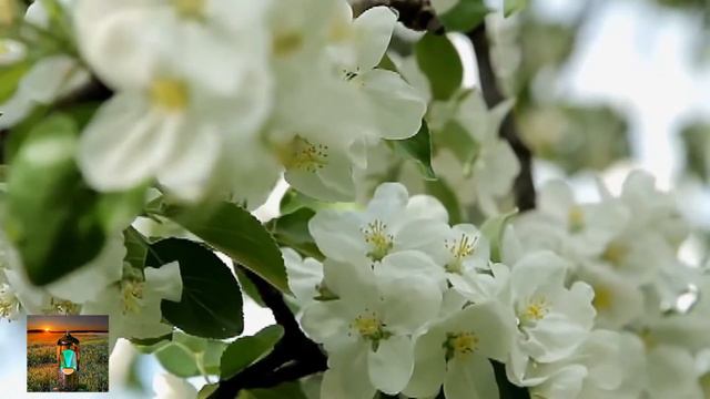 Моника Аспелунд - Всегда и снова