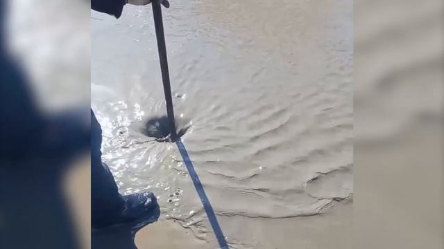 Сахалинские дорожники изумились, найдя линевку посреди моста