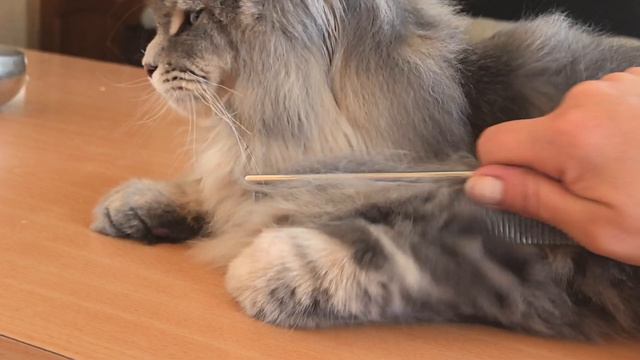 Расчесываемся