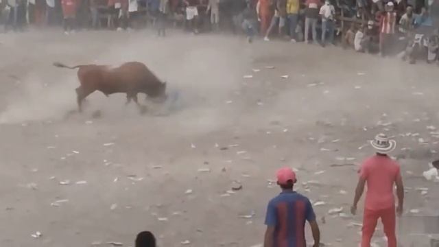 Бык  как тряпку растерзал  ( I 'd Tear It Apart Like A Rag )