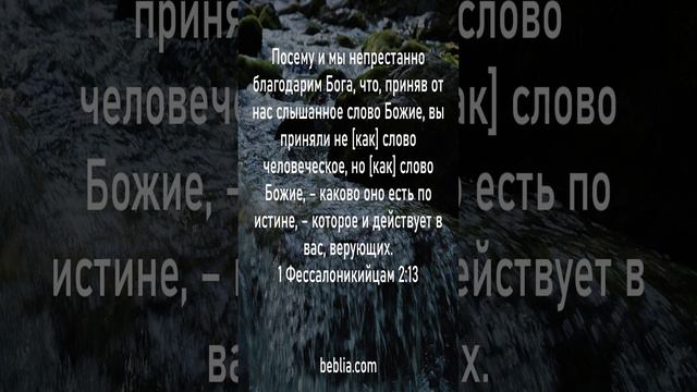 1 Фессалоникийцам 2:13 - Священный Библейский Стих #Библия #Бог #Иисус #церковь [SH]