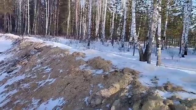 охота за золотыми самородками!!!