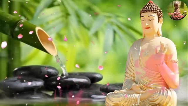 Nhạc Thiền (8 Giờ) Tịnh Tâm Xóa Tan Phiền Muộn Ưu Tư Trong Cuộc Sống