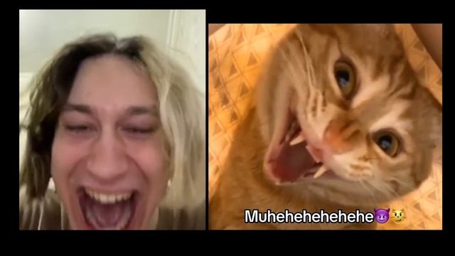 Сияющая гладь