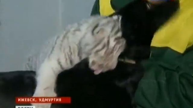 B8b78540b602f74d2f813c3d49307d35