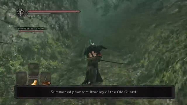 Dark Souls 2 SOTFS Dex Build Part-4