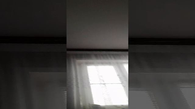 первый стрим